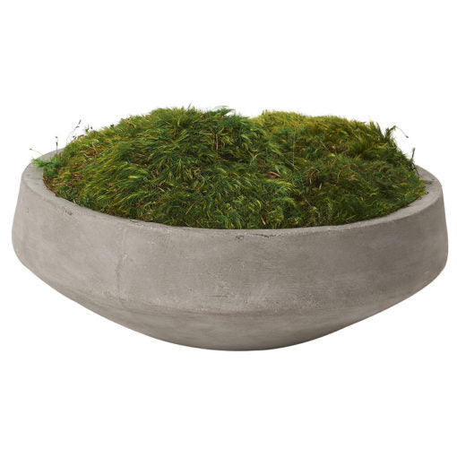 Moss in Cement bowl