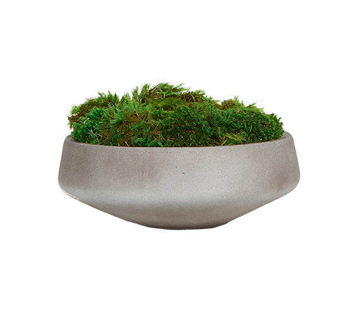 CEMENT MOSS BOWL
