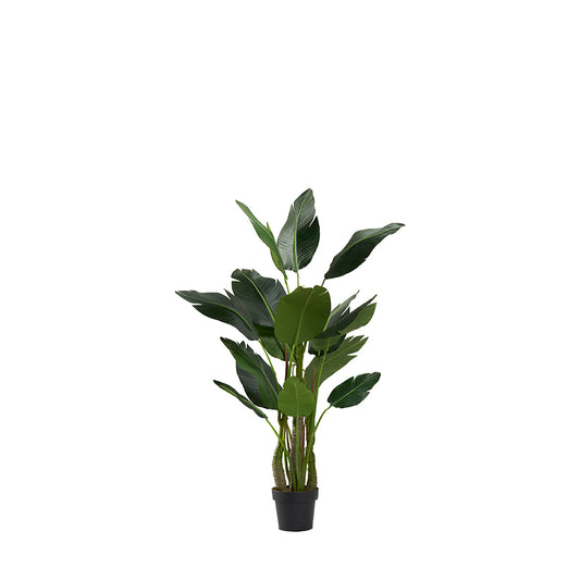 55" BIRDS OF PARADISE TREE