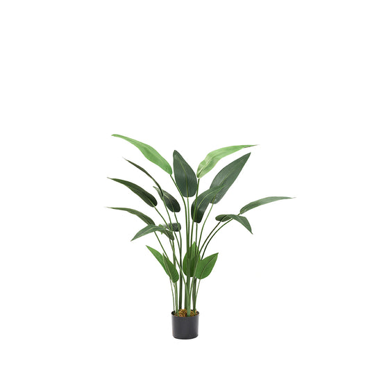 49" TRAVELER PALM